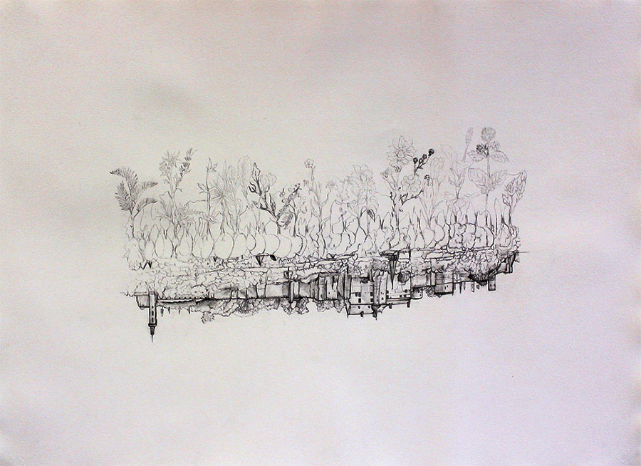 Retour à nos racines II, 2017, crayon sur papier, 110 x 75,9 cm