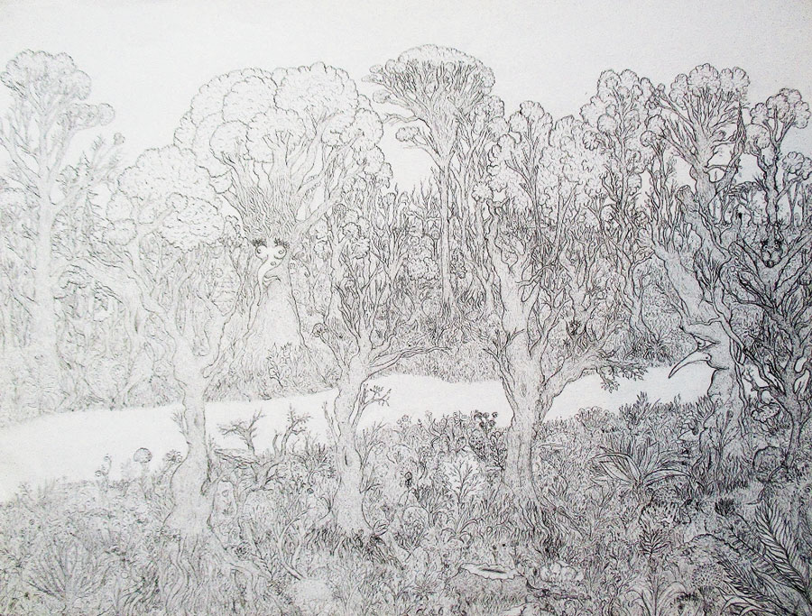 La forêt, 2016, crayon sur papier, 50 x 65 cm