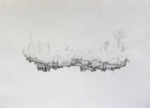 Retour à nos racines I, 2017, crayon sur papier, 110 x 75,9 cm.